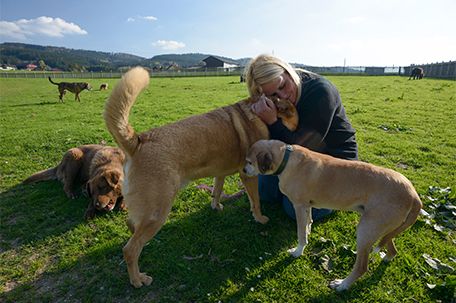 Tierschutz verbindet Mensch und Tier