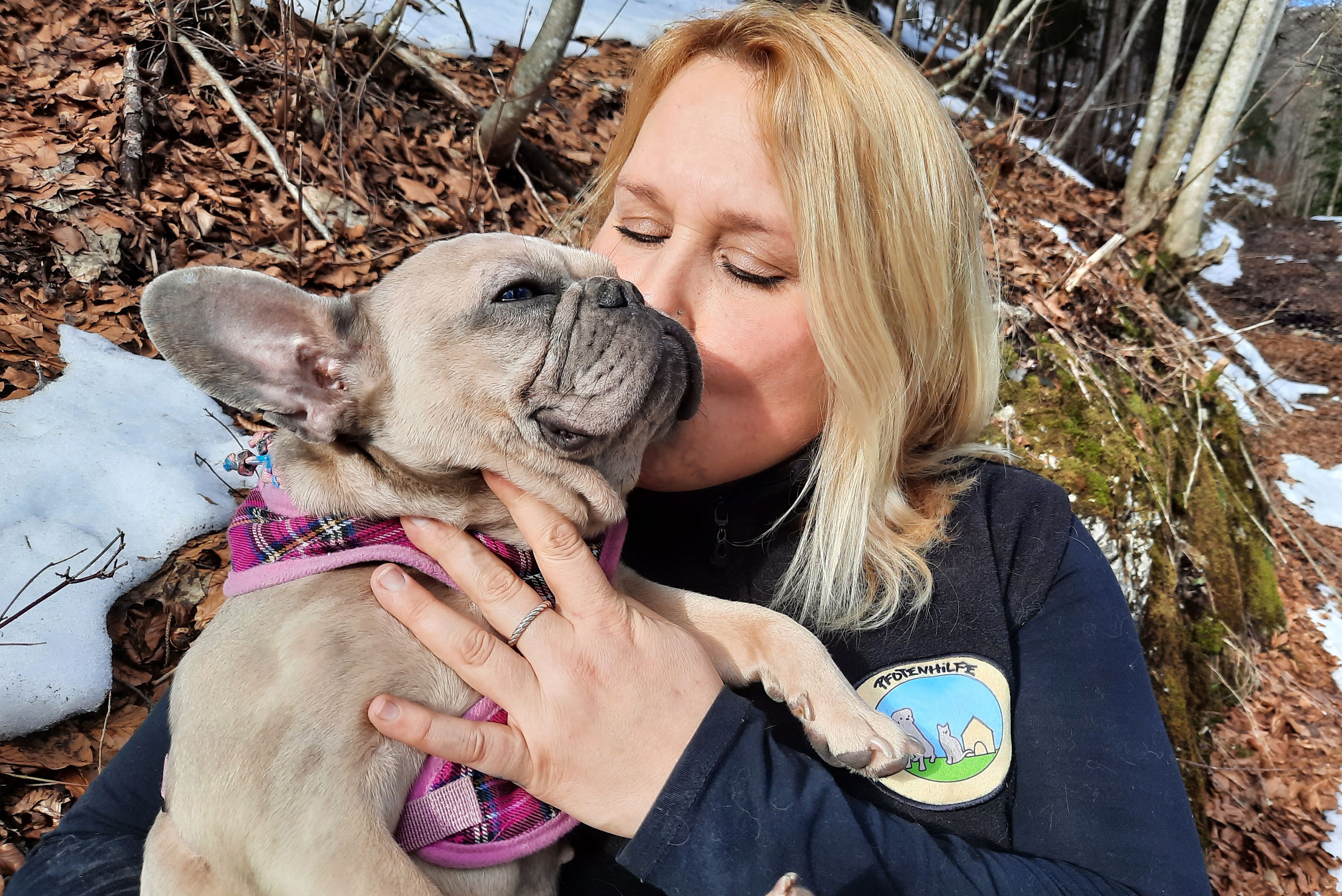 Hund, Tiervermittlung, Hunde in Not, Tierschutz, Welpe, Welpen in Not, kleine Hunde, Tierheim Hunde, Bulldogge, französische Bulldogge, Qualzucht