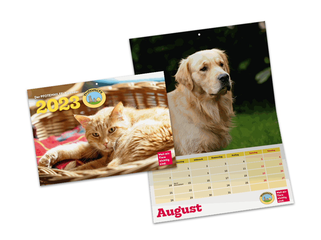 Kalender