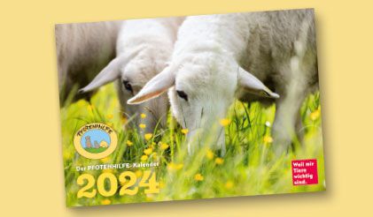 Pfotenhilfe-Kalender 2024