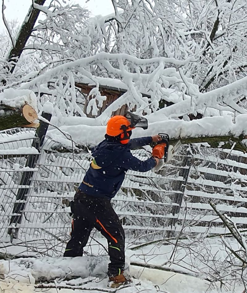 Winternotfall bei der Pfotenhilfe