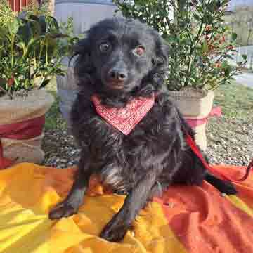 Lola2