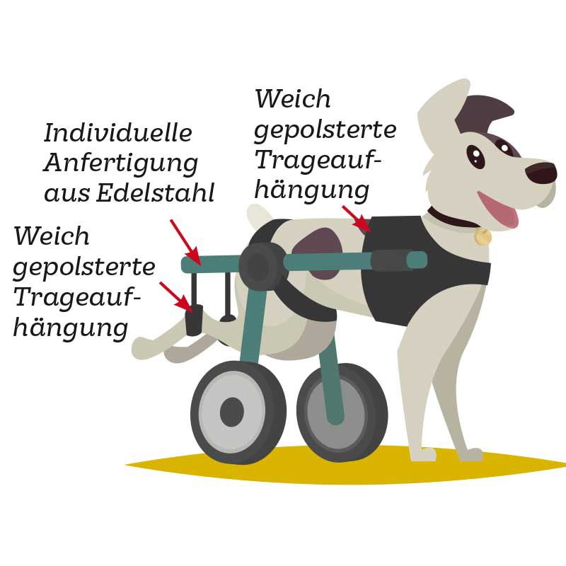 Bild von einem Hund mit Rollwagen