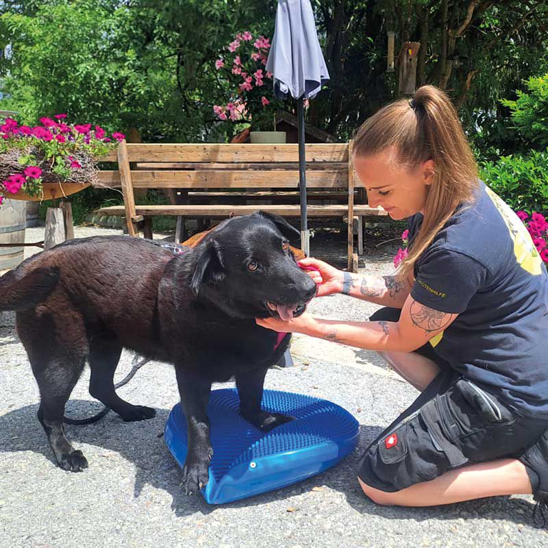 Blacky und ein Therapiekissen für ihre schmerzenden Vorderbeine
