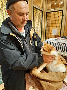 Meine Spende für zwei gerettete Kater