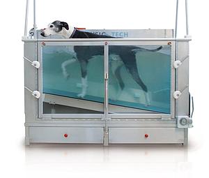 Meine Spende für die Anschaffung eines Unterwasserlaufbands